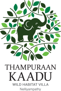 Thampuraan Kaadu