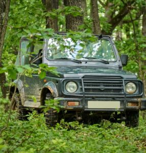 resorts in nelliyampathy palakkad