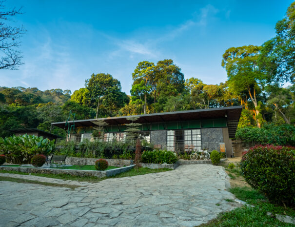 nelliyampathy forest resorts